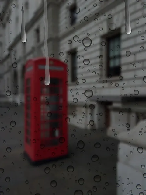 Willow: 1-person Phonebooth